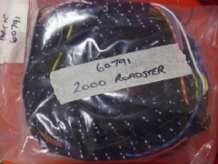 TR20 Wiring Loom