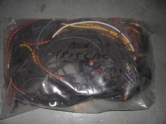 TR18 Wiring Loom